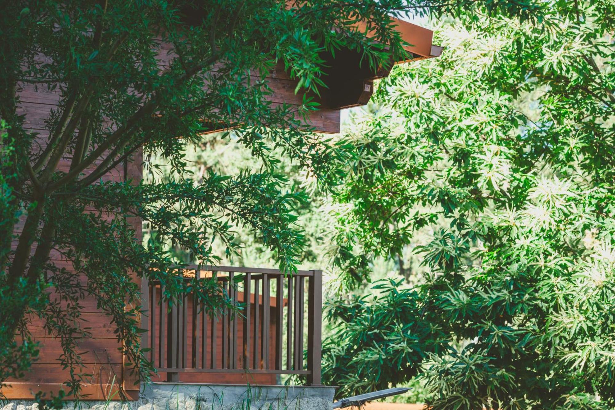 Quinta Do Lameiro Tarouca Exterior foto